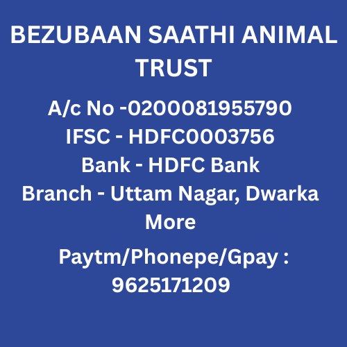 Bezubaan Saathi Animal Trust Account details