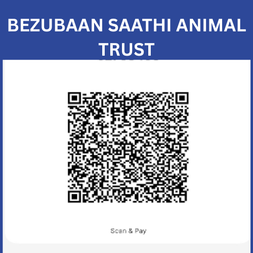 Bezubaan Saathi Animal Trust QR Scanner